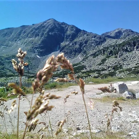 Enjoy And Lovely Park 3*