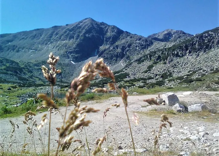 Enjoy And Lovely Park 3*