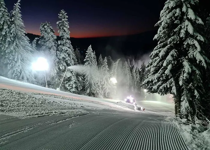 Aparthotel Enjoy And Lovely Park Borovets