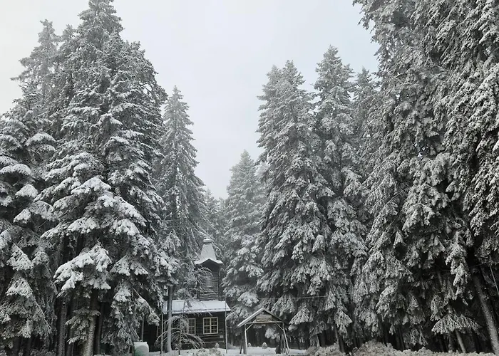 Enjoy And Lovely Park 3*