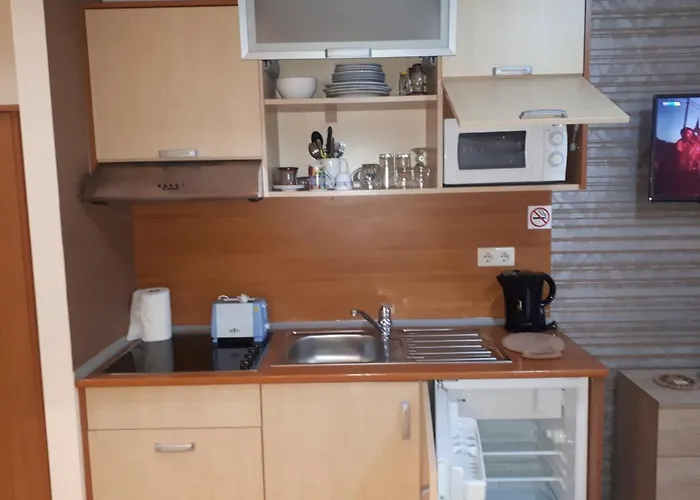 Enjoy And Lovely Park 3* Borowec